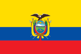 Image result for ecuador flag